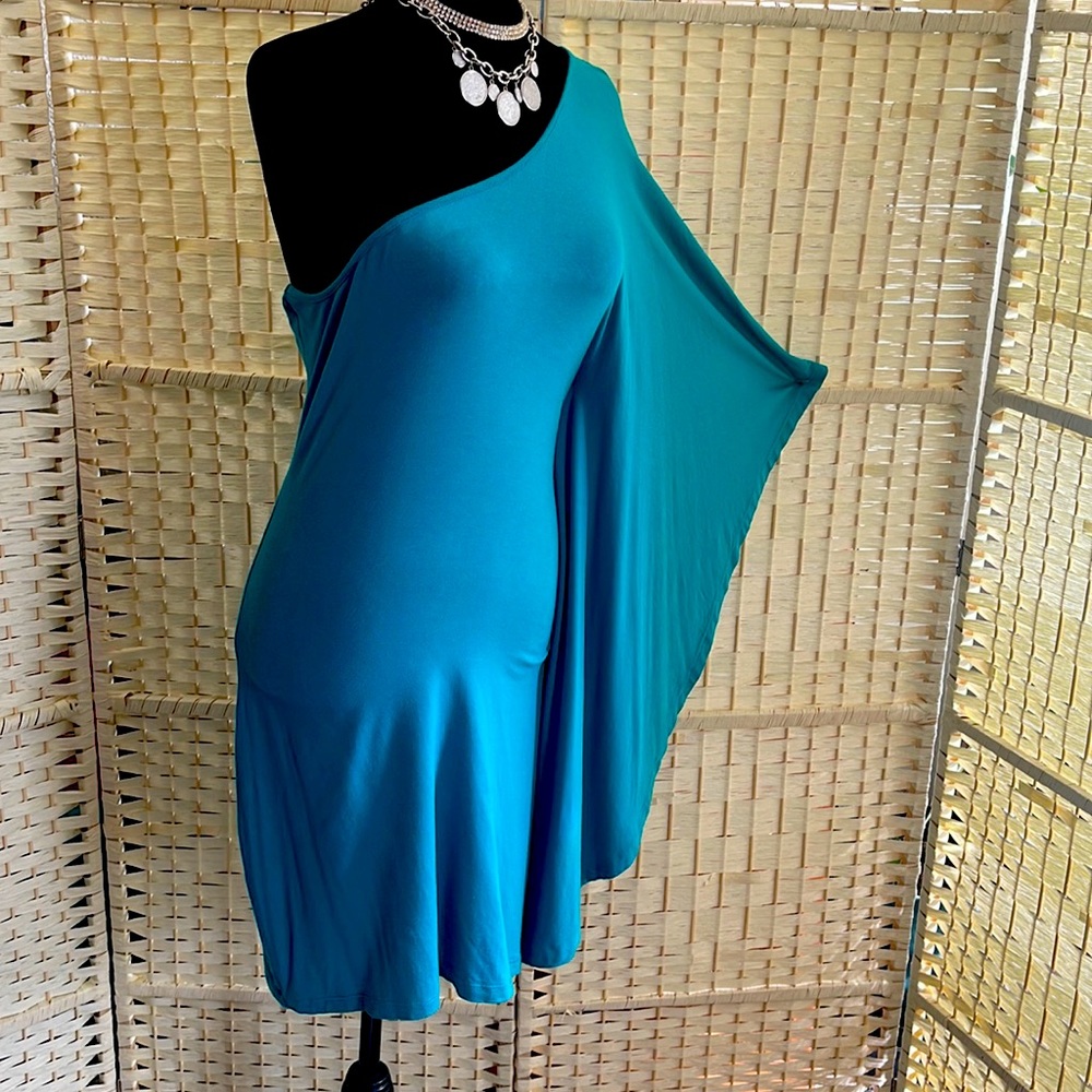 Express Blue Dress